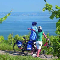 Eine Frau und ein Mann mit Fahrrädern stehen in einem saftiggrünen Weinberg und blicken auf den blauen Bodensee im Hintergrund. Fotoquelle: www.bodensee-radweg.com