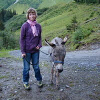 Ein Mädchen hält einen Esel am Zügel. Im Hintergrund Almweide mit Wald.