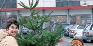 Selbst – Bestimmt – Leben / Wege zur SelbsterMÄCHTigung von Menschen mit Behinderungen || Eine Frau sitzt mit einem Tannenbaum im Einkaufswagen und ein Rollstuhlfahrer schiebt den Wagen.