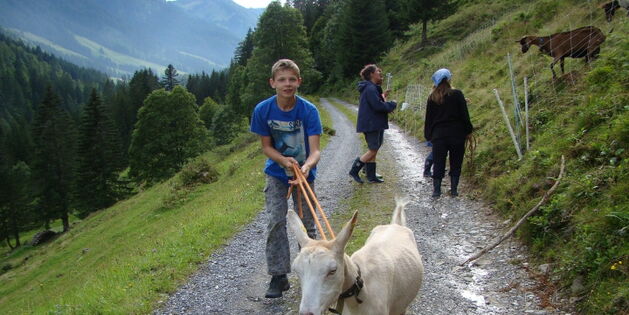 Eine weiße Ziege läuft auf den Betrachter zu. Ein Junge mit kurzärmligen blaufarbenem T-Shirt hält die Ziege an einem langen Strick. Im Hintergrund stehen mehrere Menschen am Zaun, dahinter braune Ziegen mit Hunger.