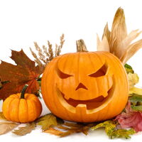 Herbstlaub ganz bunt mit zwei orangfarbenen Kürbiskugeln. Dazu ein großer geschnitzter Kürbiskopf mit fröhlichem Halloween-Lachen. Quelle: www.forher.de