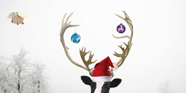 Tief verschneite Landschaft. Eine Kuh mit roter Weihnachtsmütze und Hirschgeweih. Auf dem Geweih zwei bunte Weihnachtskugeln. Ein Schwein mit Flügeln und Heiligenschein fliegt am linken Himmelsrand. Quelle: kommunikation freiland WVC